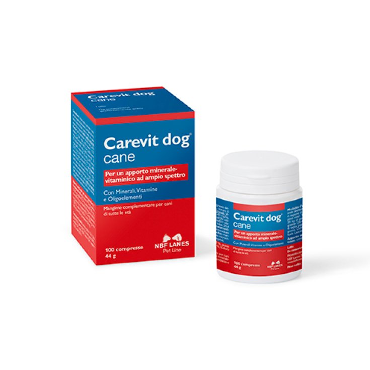 Carevit Dog® Chien Voies NBF 100 Comprimés