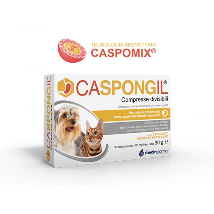 Caspongil® ShedirPharma® 30 Comprimés Sécables