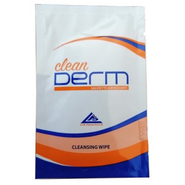 Clean Derm LIS 10 lingettes désinfectantes