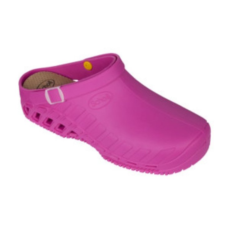 Sabot Evo Unisexe Scholl Fuchsia Taille 36-37