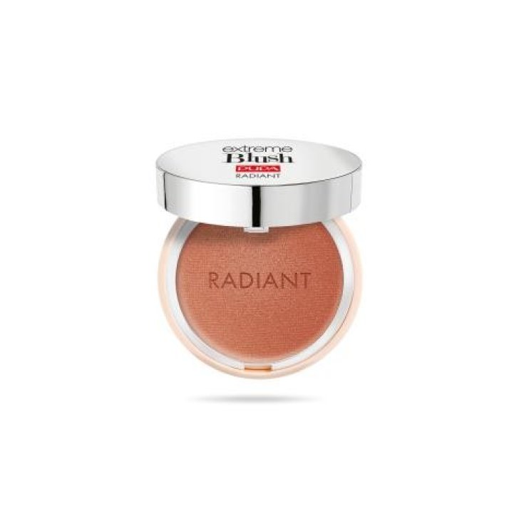Extreme Blush Radiant 010 Bronze Fever PUPA Milano 4g