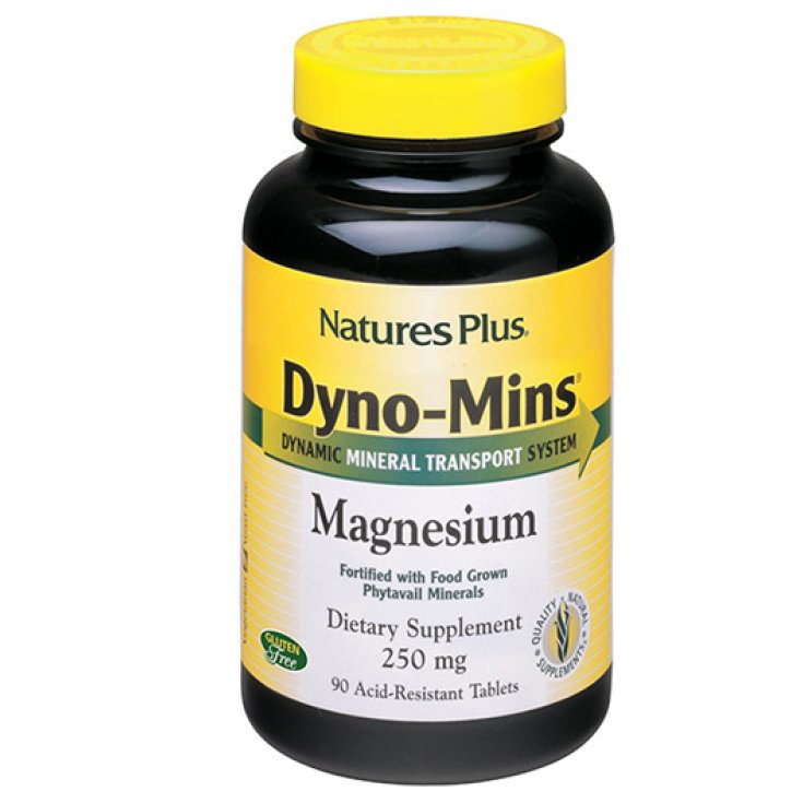 Dyno Mins Magnésium 90tav