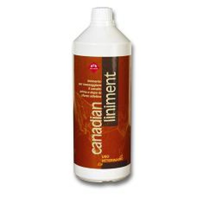 LINIMENT CANADIEN FL 1000ML