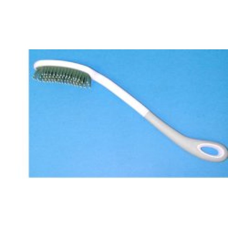 Brosse courbe C / manche Lu