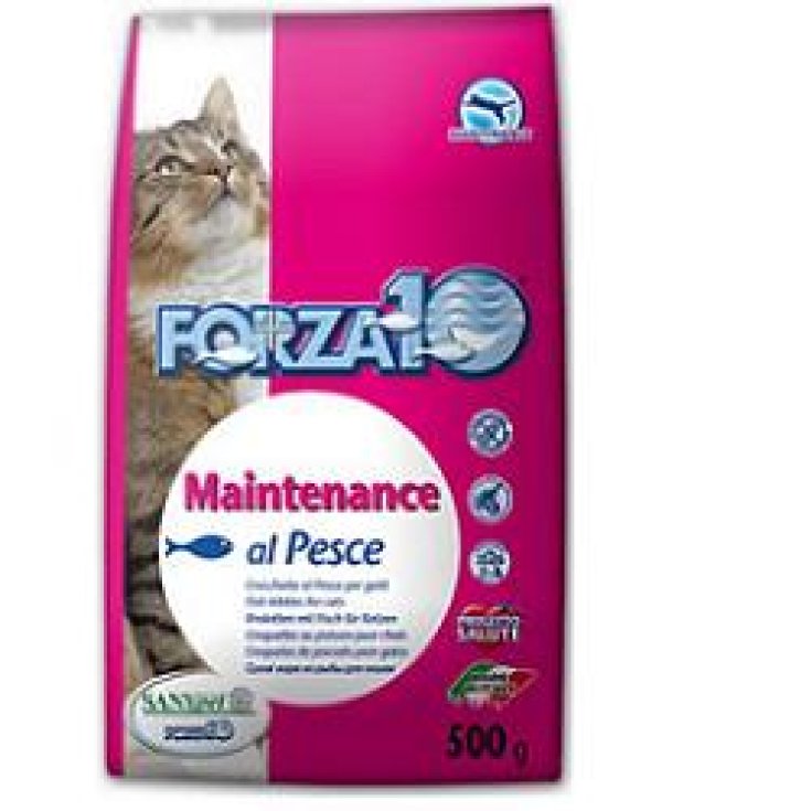 FORZA10 CHAT MAINT POISSON 500G