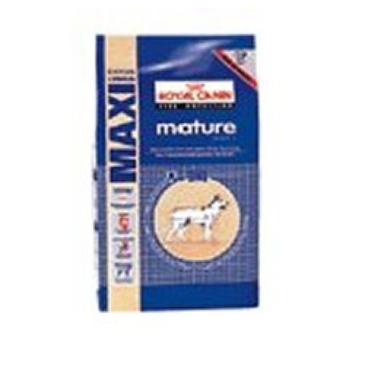 SHN MAXI ADULT 5+ 15KG