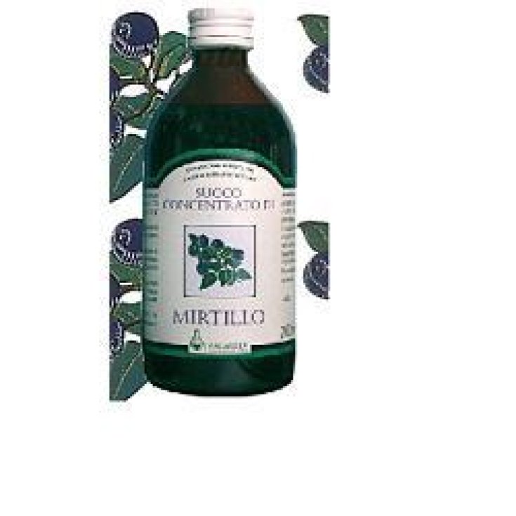 Jus de Myrtille 200ml