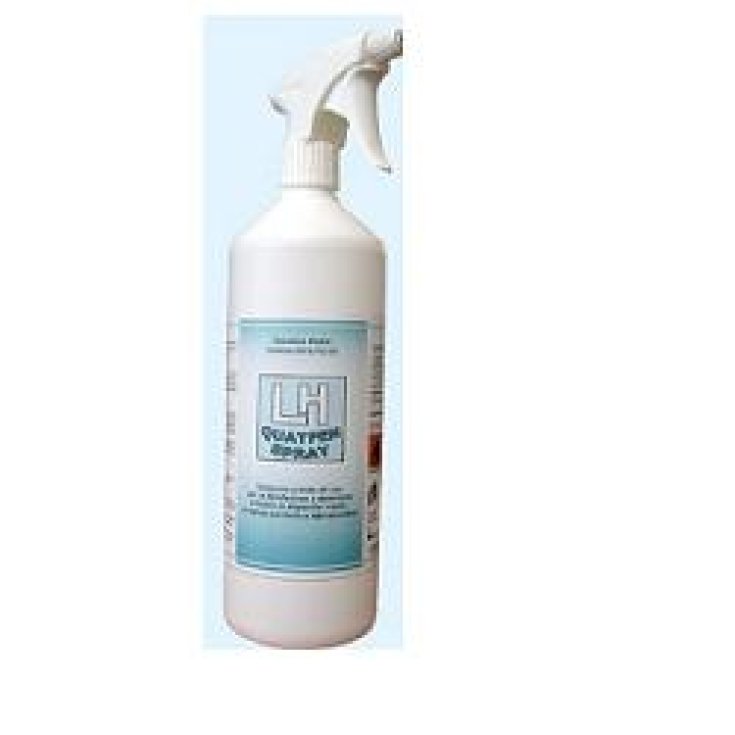 LH QUATFEN SPRAY DÉSINF 1000ML