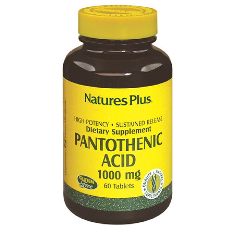 Acide pantothénique 1000 mg