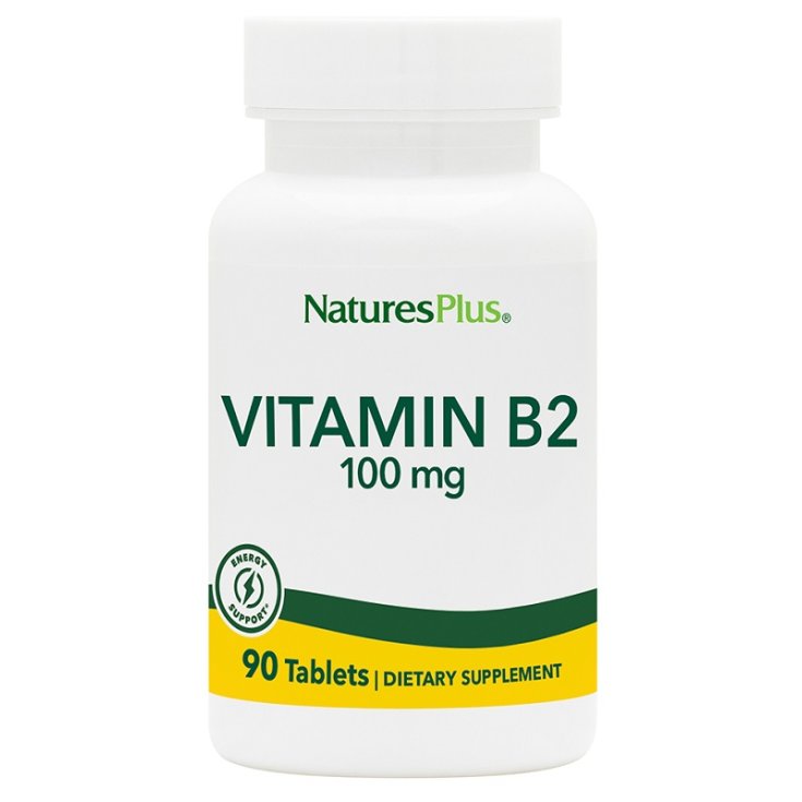 Vitamine B2 Riboflavine 100