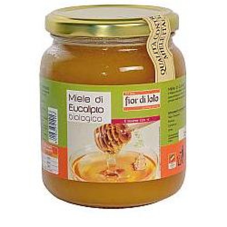 MIEL D'EUCALYPTUS BIO 500G