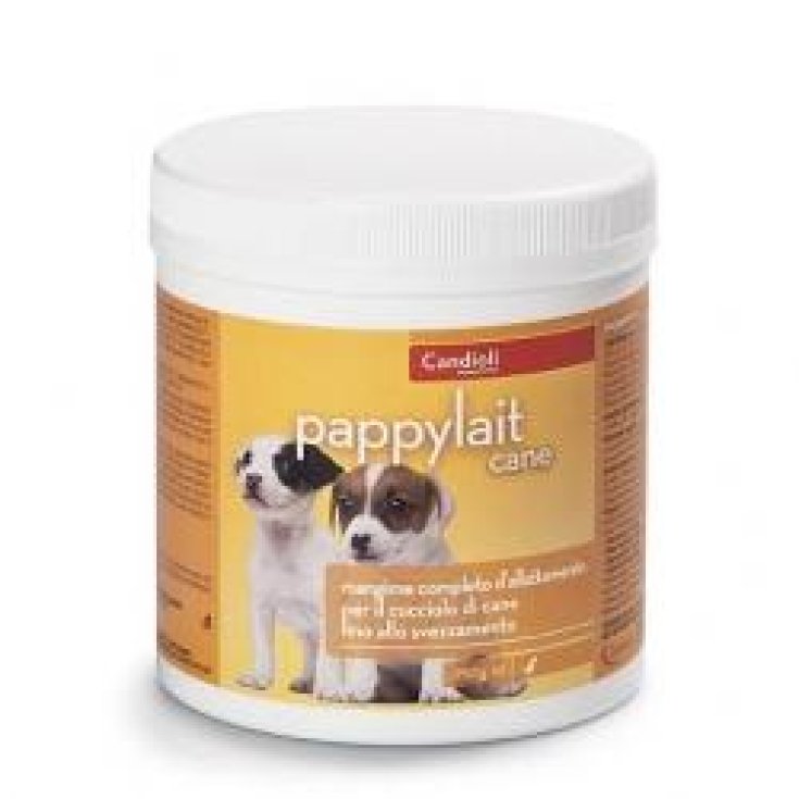 Pappylait Chien 250g