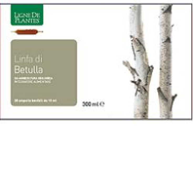 Sève de Bouleau Bio 20ab 15ml