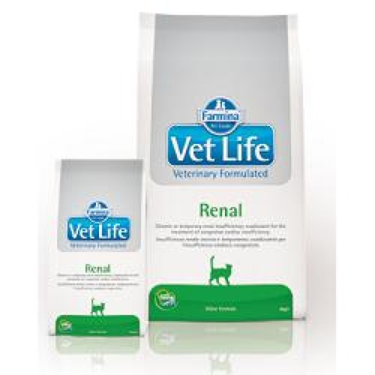 VET LIFE NAT FEL RÉNAL 2KG