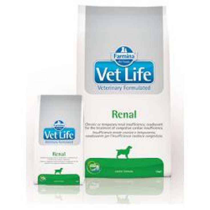 VET LIFE NAT CAN RENAL 12KG