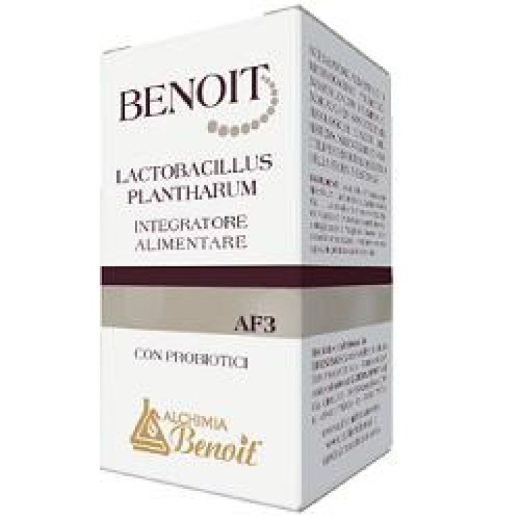 Benoit Lactobacillus Plantharu Complément Alimentaire 30 Gélules