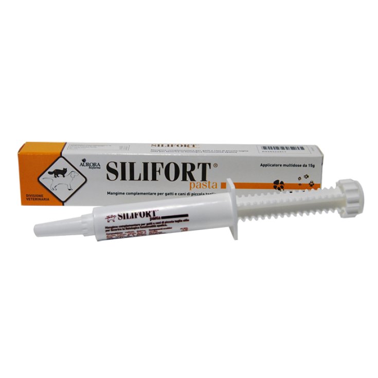 Silifort Pâtes Os Seringue 15g