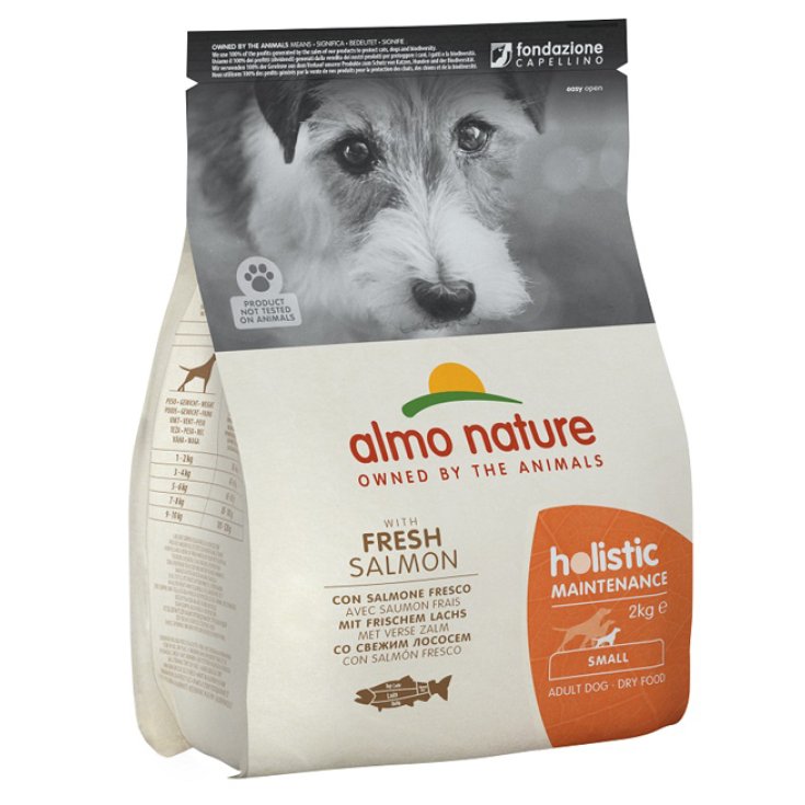 HOLISTIC DOG S SAUMON/RIZ2KG