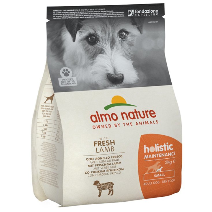 HOLISTIC DOG S AGNEAU/RIZ2KG