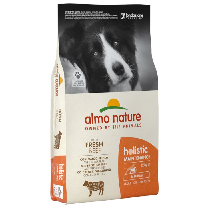 HOLISTIC DOG AD M BOEUF/RIZ