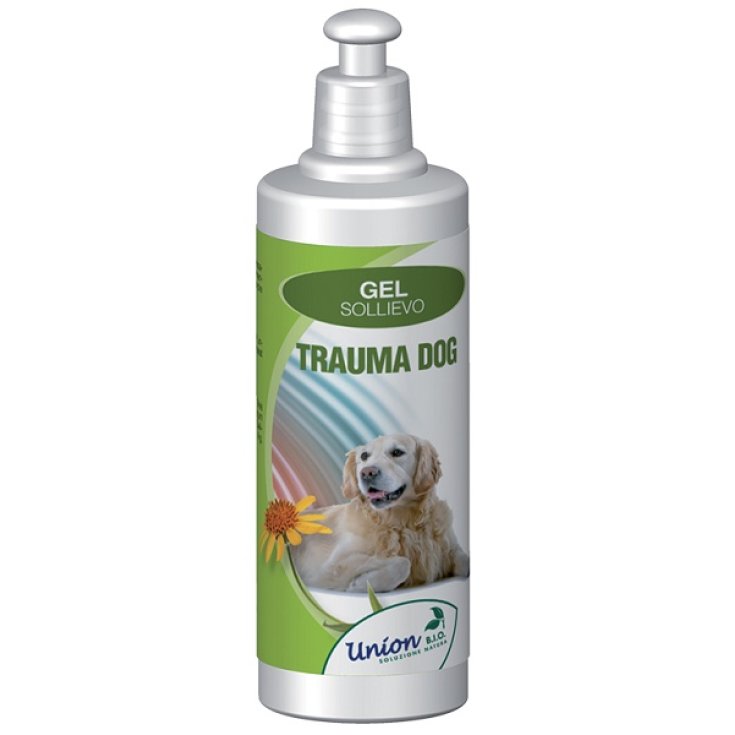 Trauma Chien Gel Solli Imm 250ml