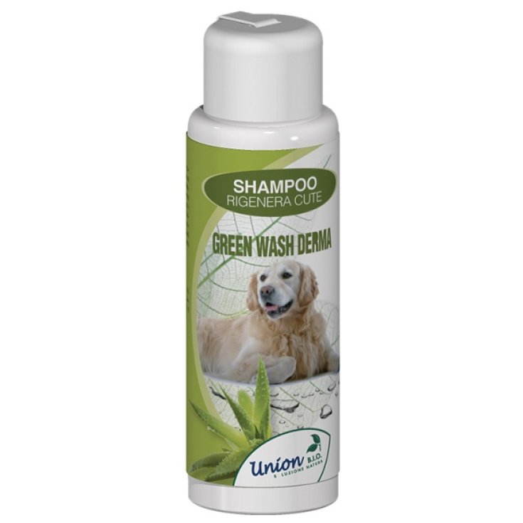 SHAMPOOING DERMA GREEN WASH 1L