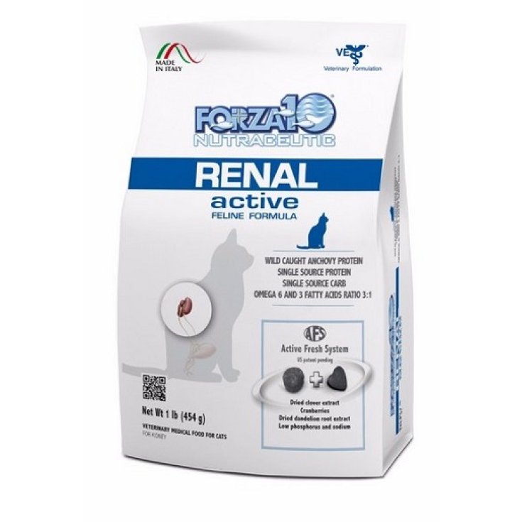 ACTIF RÉNAL CHAT 454G