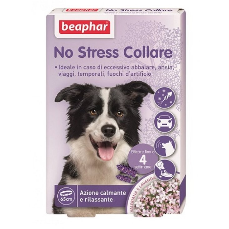 Collier anti-stress pour chien