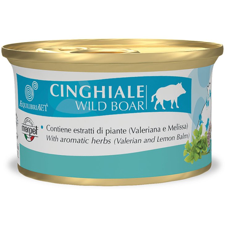 AEQUILIBRIA CAT CINGHIALE 85G