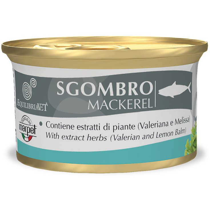 AEQUILIBRIA CAT SGOMBRO 85G