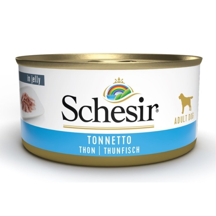 THON SCHÉSIR 150G