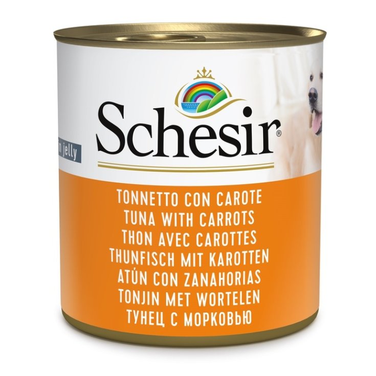 SCHESIR CHIEN TONNETTO VOITURE 285G