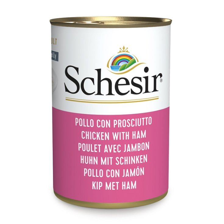 SCHESIR CHAT POULET FIL PR 140G