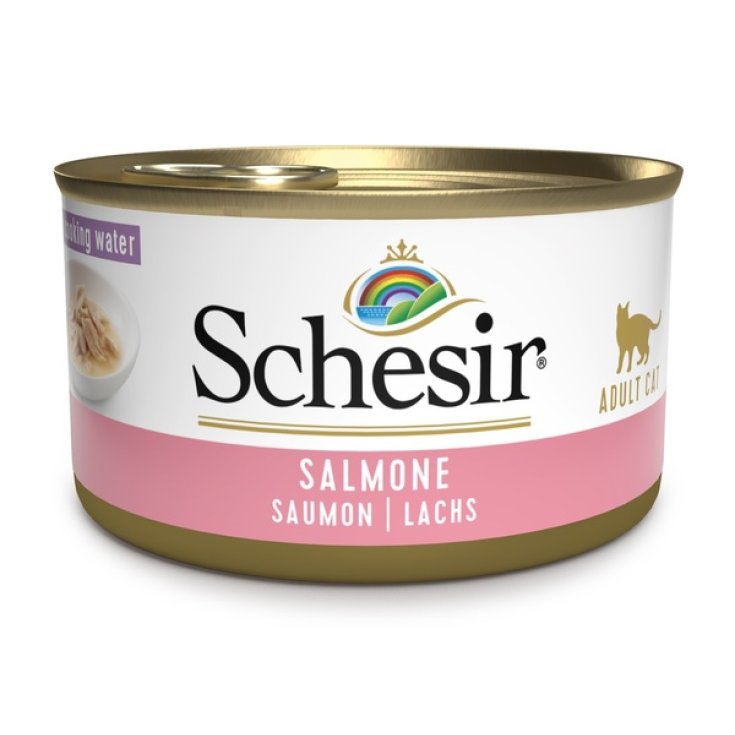 SCHESIR SAUMON NATUREL85G