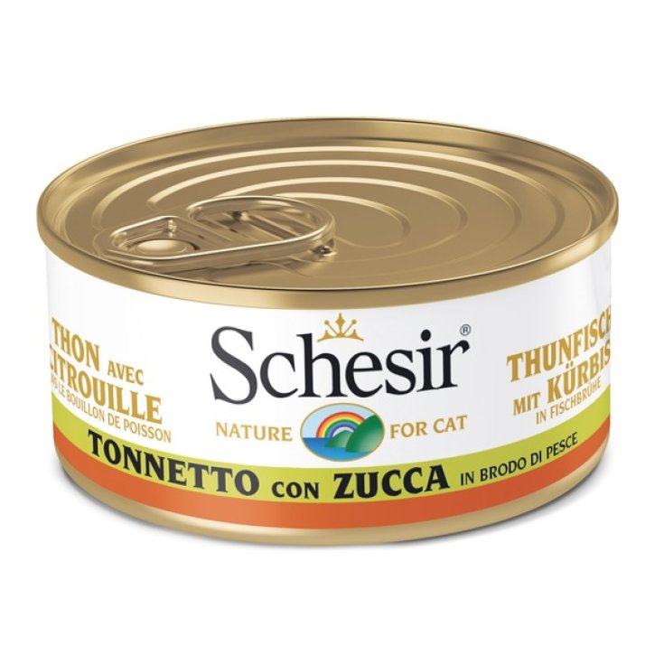 SCHESIR THON CITROUILLE 70G