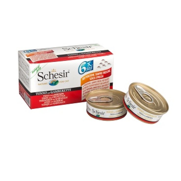 SCHESIR CHAT MP TONN GAMB 6X50G