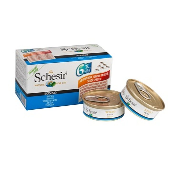 SCHESIR CHAT TONNETTO MP 6X50G