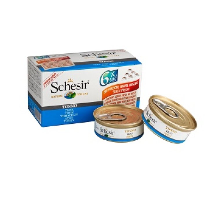 SCHESIR CHAT TONNETTO MP 6X50G