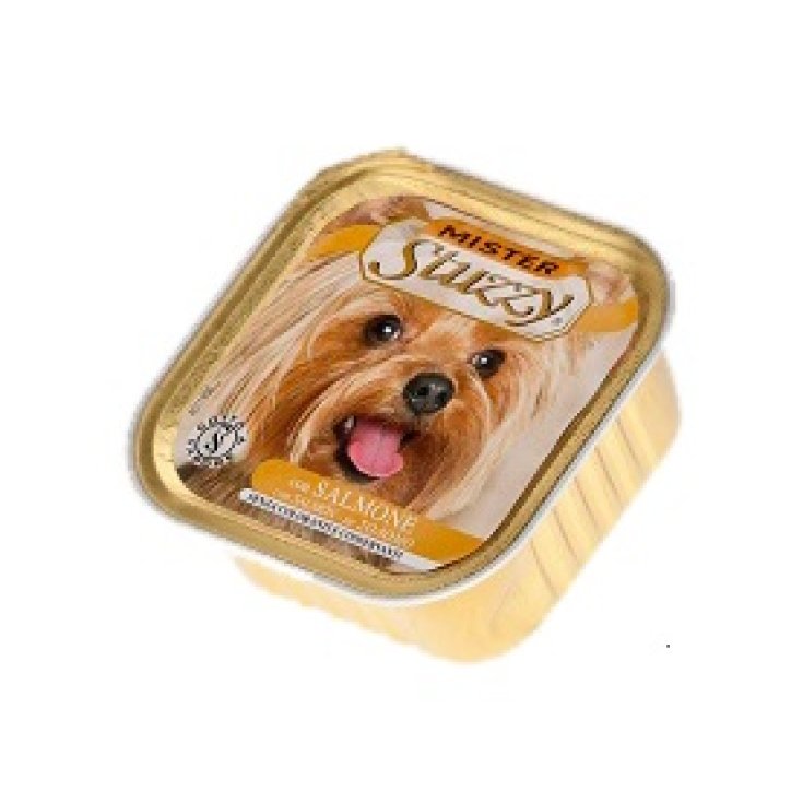 MR STUZZY CHIEN SAUMON 150G
