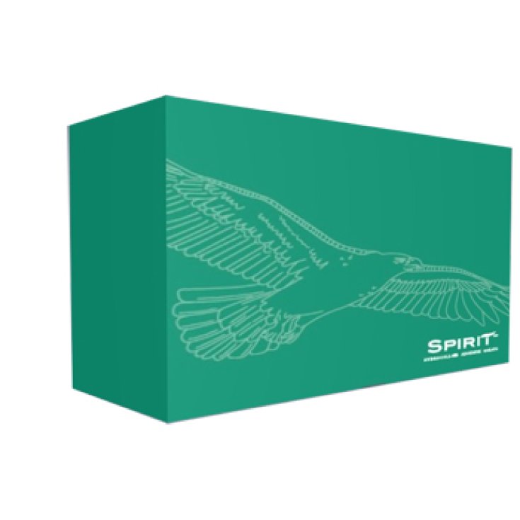 Spirit Cathéter Externe Homme 25mm Style1 30 Pièces