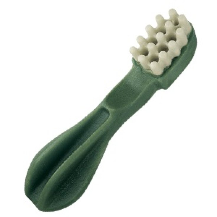 WHIMZEES BROSSE À DENTS BUSTE XS48P