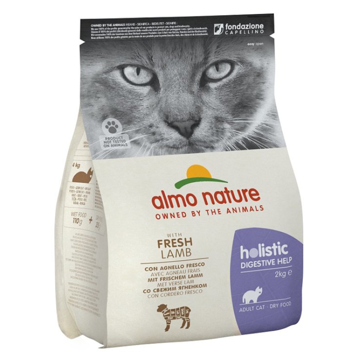 FONCTION HOLISTIQUE CHAT DRY DIG 2KG