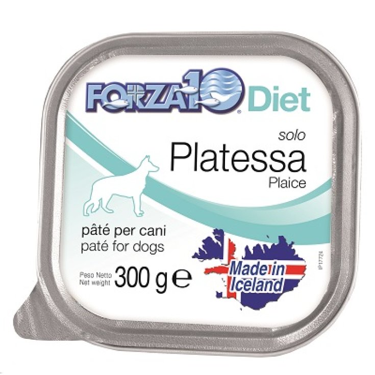 FORZA10 SEULEMENT ASSIETTES RÉGIME C300G