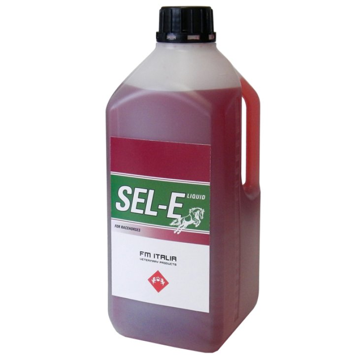 SEL-E LIQUIDE 1900ML