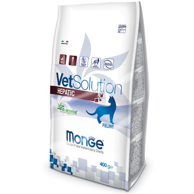 MONGE VETSOL FEL HEPATIQUE 400G