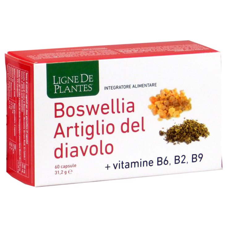 GRIFFE DU DIABLE DE BOSWELLIA60CPS