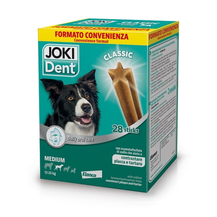 JOKI DENT CLASSIC MP CHIENS M