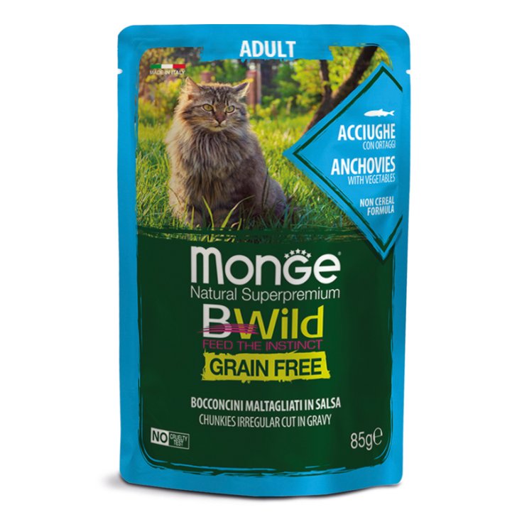 MONGE BWILD AUX ANCHOIS/ORT85G