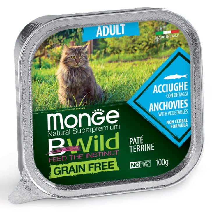 MONGE BWILD CAT AUX ANCHOIS