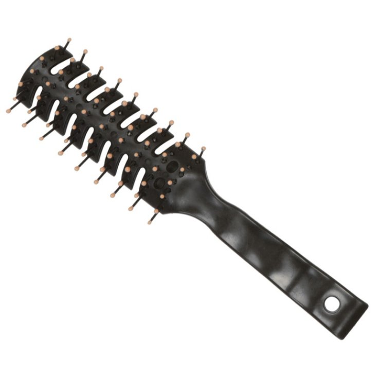 BROSSE SQUELETTE